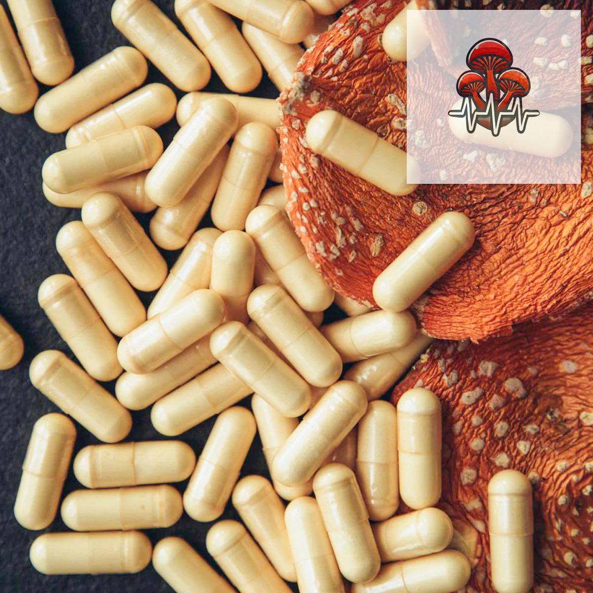 🌿Organic Classic Red Cap Mushroom Capsules 500 mg