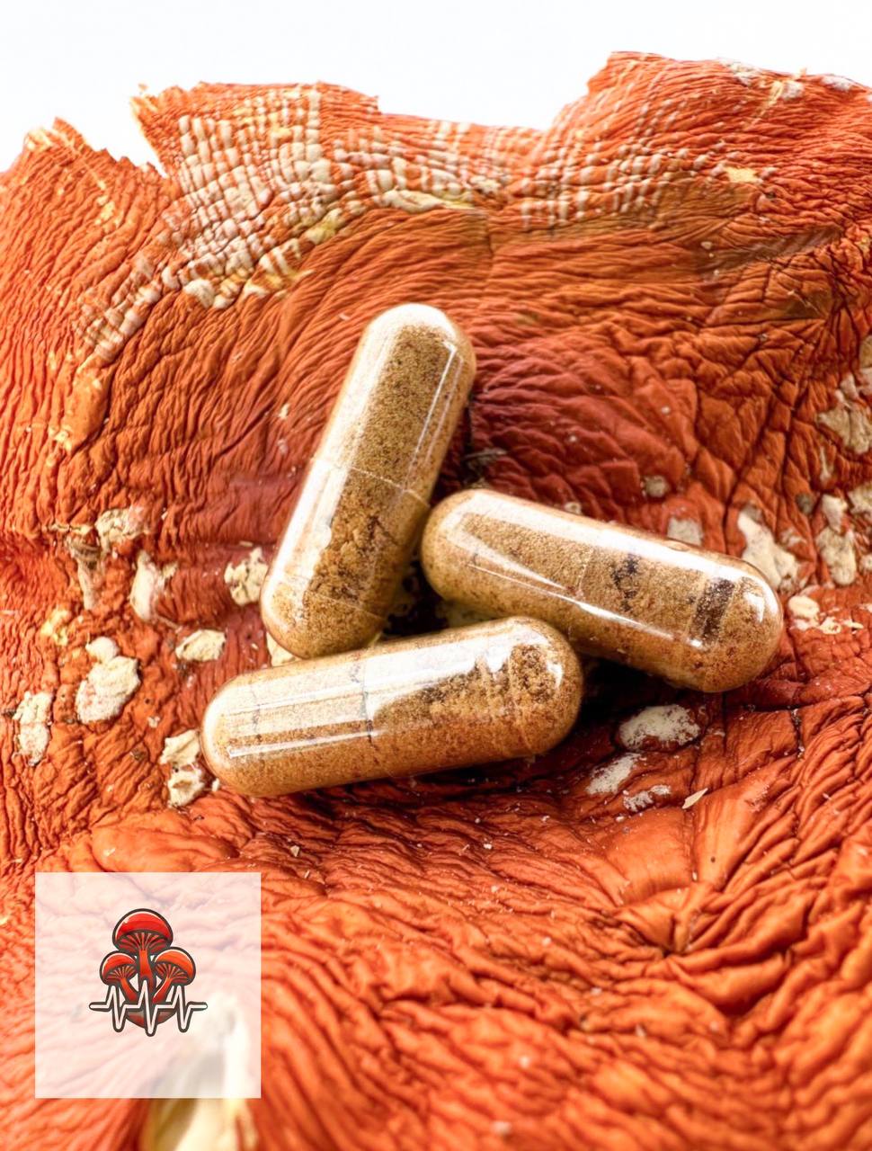 🌿Organic Classic Red Cap Mushroom Capsules 500 mg