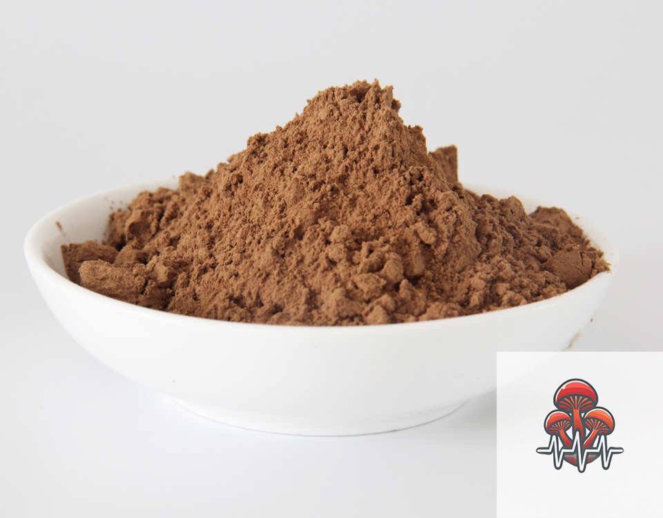 πΏ Organic Reishi Extract Powder β Immune Support & Stress Relief