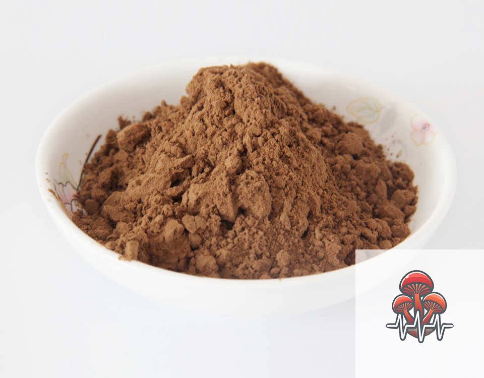 πΏ Organic Reishi Extract Powder β Immune Support & Stress Relief
