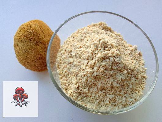 🌿 Lion’s Mane Mushroom Extract Powder – Brain Health, Focus & Immune Support