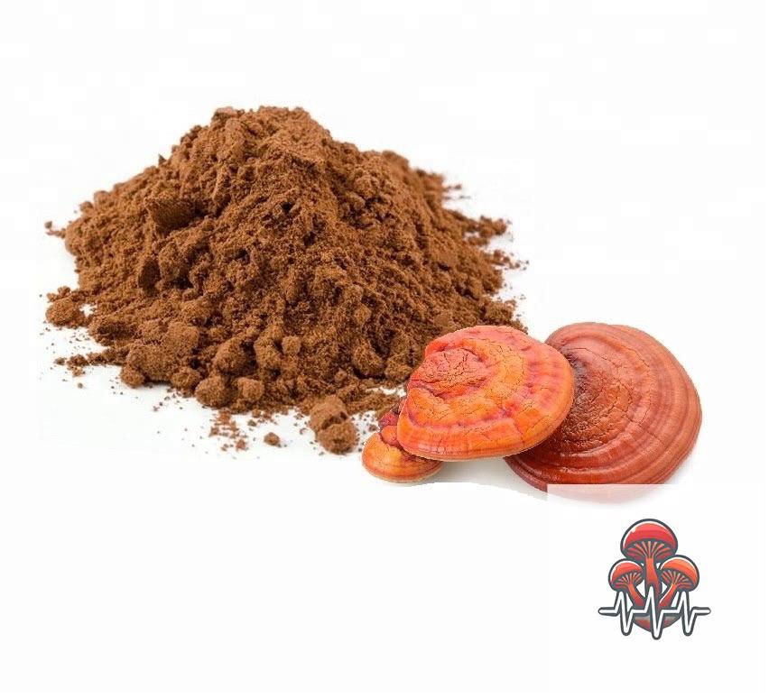 🌿 Organic Reishi Extract Powder – Immune Support & Stress Relief